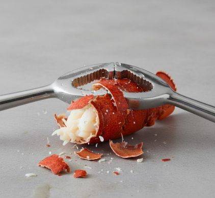 Lobster Cracker Breaking Through Hard Shells