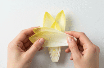 Endive Separator Belgian Chicory Leaf Preparation