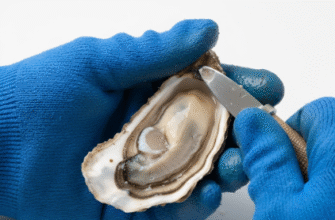 Oyster Knife Shucking Technique and Safety