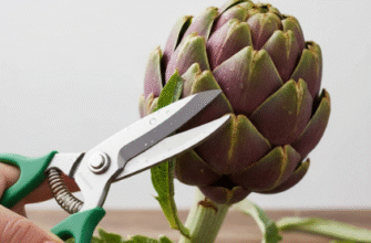 Artichoke Scissors Trimming Thorny Leaves